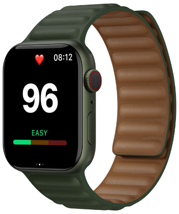 RunV on Apple Watch: a heart rate of 96 bpm with the effort zone shown as easy